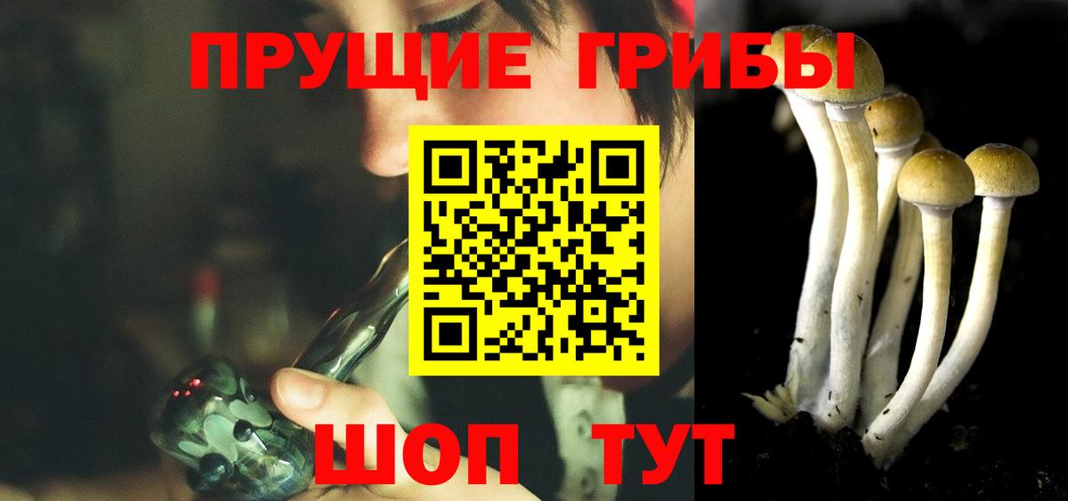Галлюциногенные грибы Psilocybe  Вход с VPN  Лабытнанги 